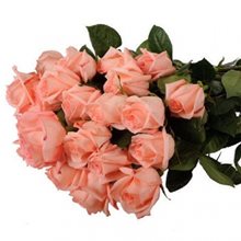 Розы - Engagement